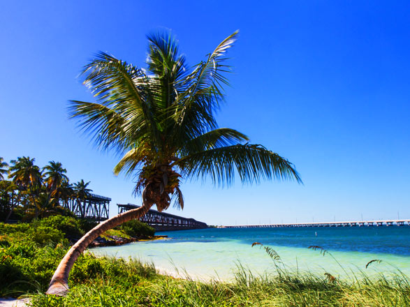 Croisière Bahamas: Nassau et Ocean Cay 